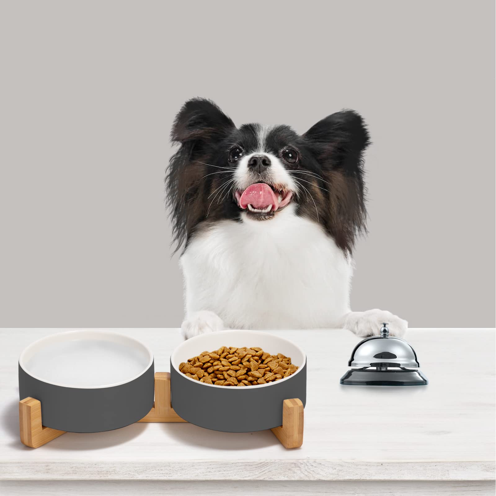 SPUNKYJUNKY lead-free ceramic bowls ensure safe, odor-free meals for pets.