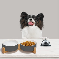 SPUNKYJUNKY lead-free ceramic bowls ensure safe, odor-free meals for pets.