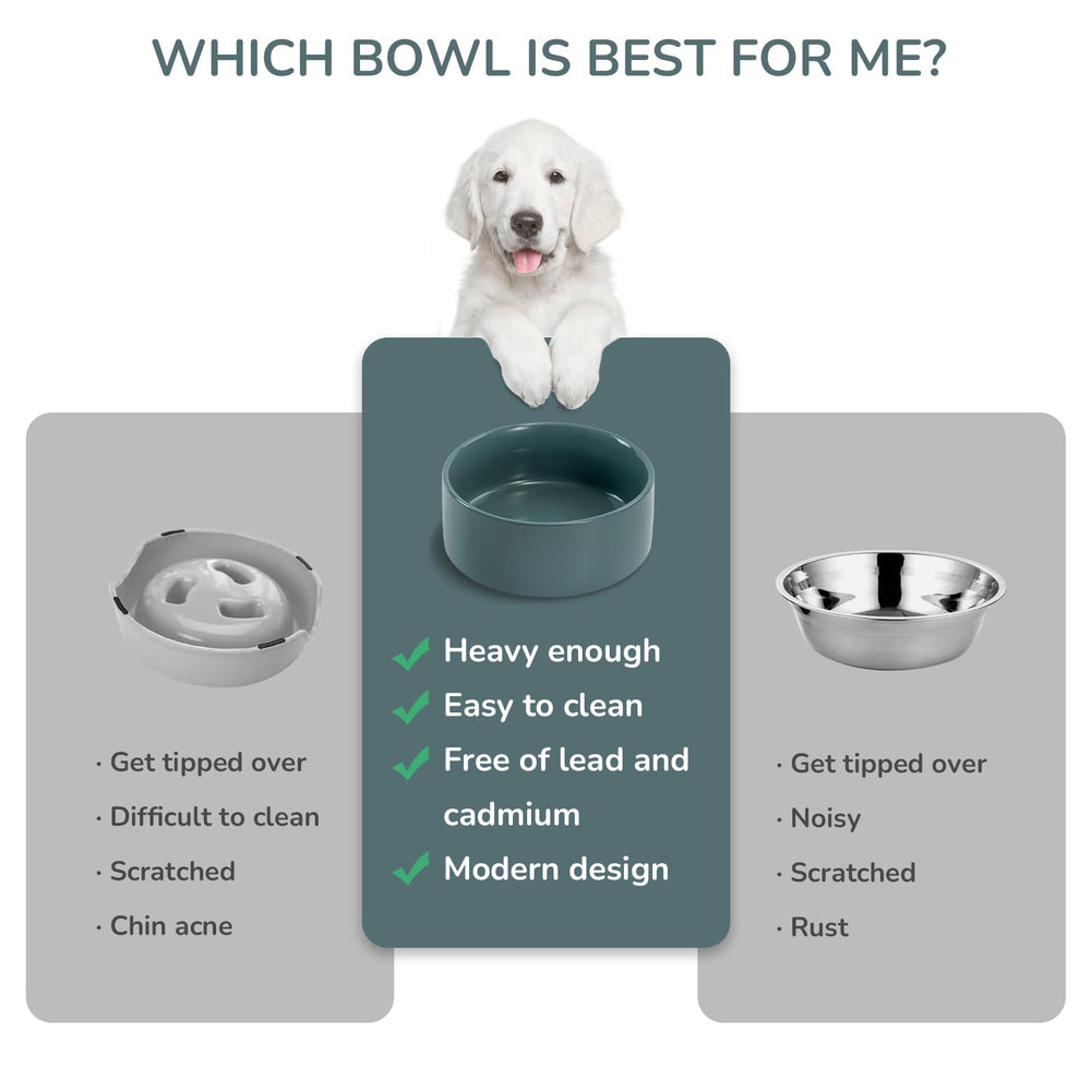 SPUNKYJUNKY four sizes of ceramic bowls fit pets of different sizes.