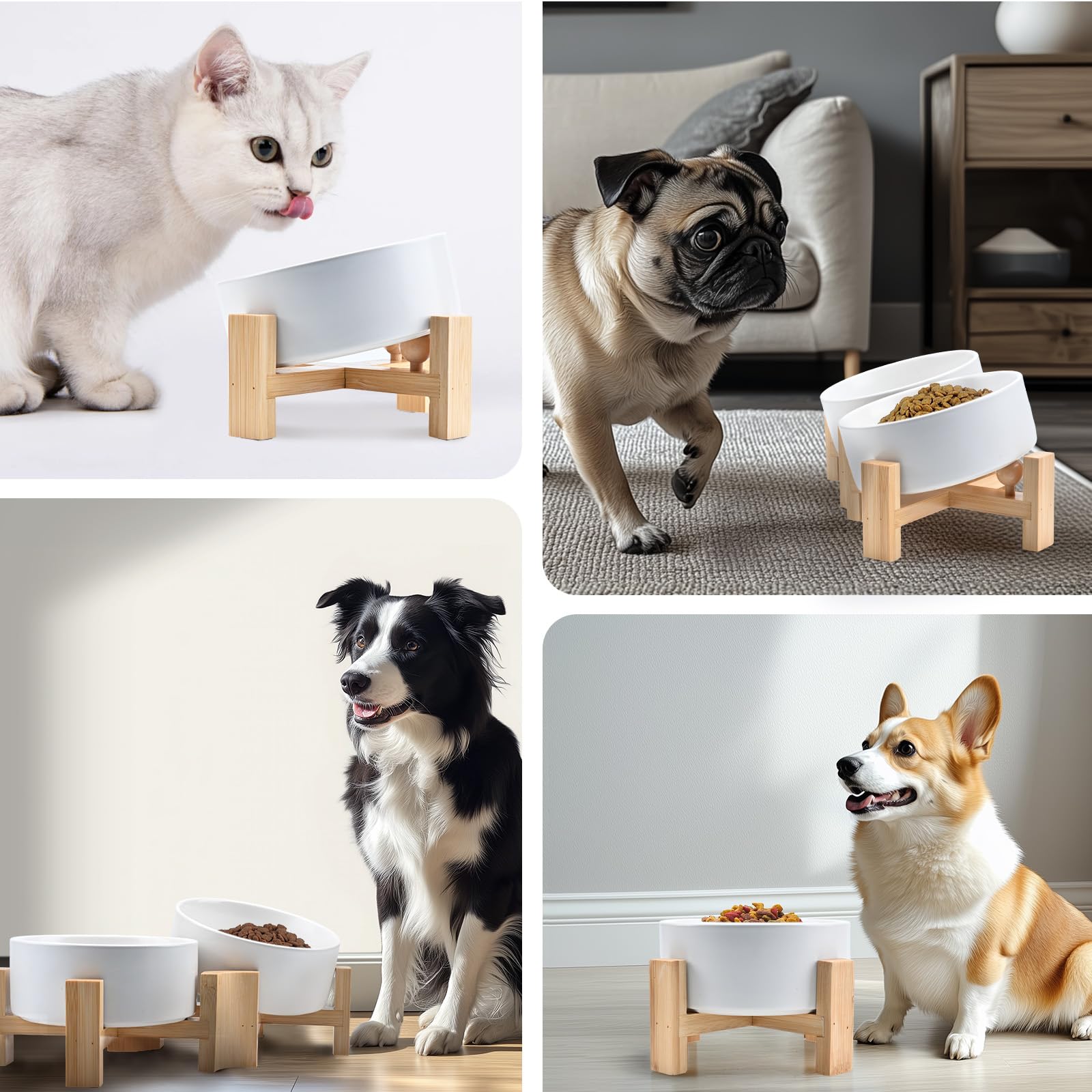 SPUNKYJUNKY modern boho dining scene showcasing stylish pet dining setup.