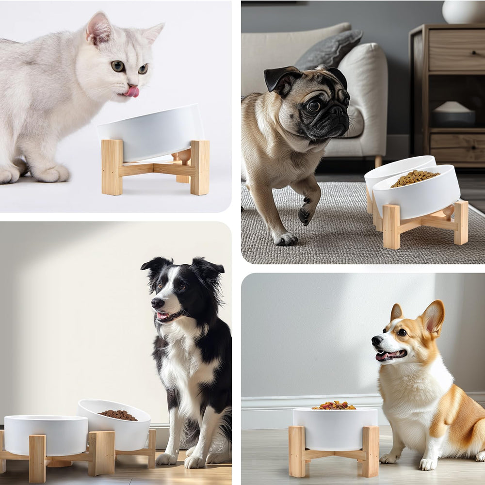 SPUNKYJUNKY modern boho dining scene showcasing stylish pet dining setup.