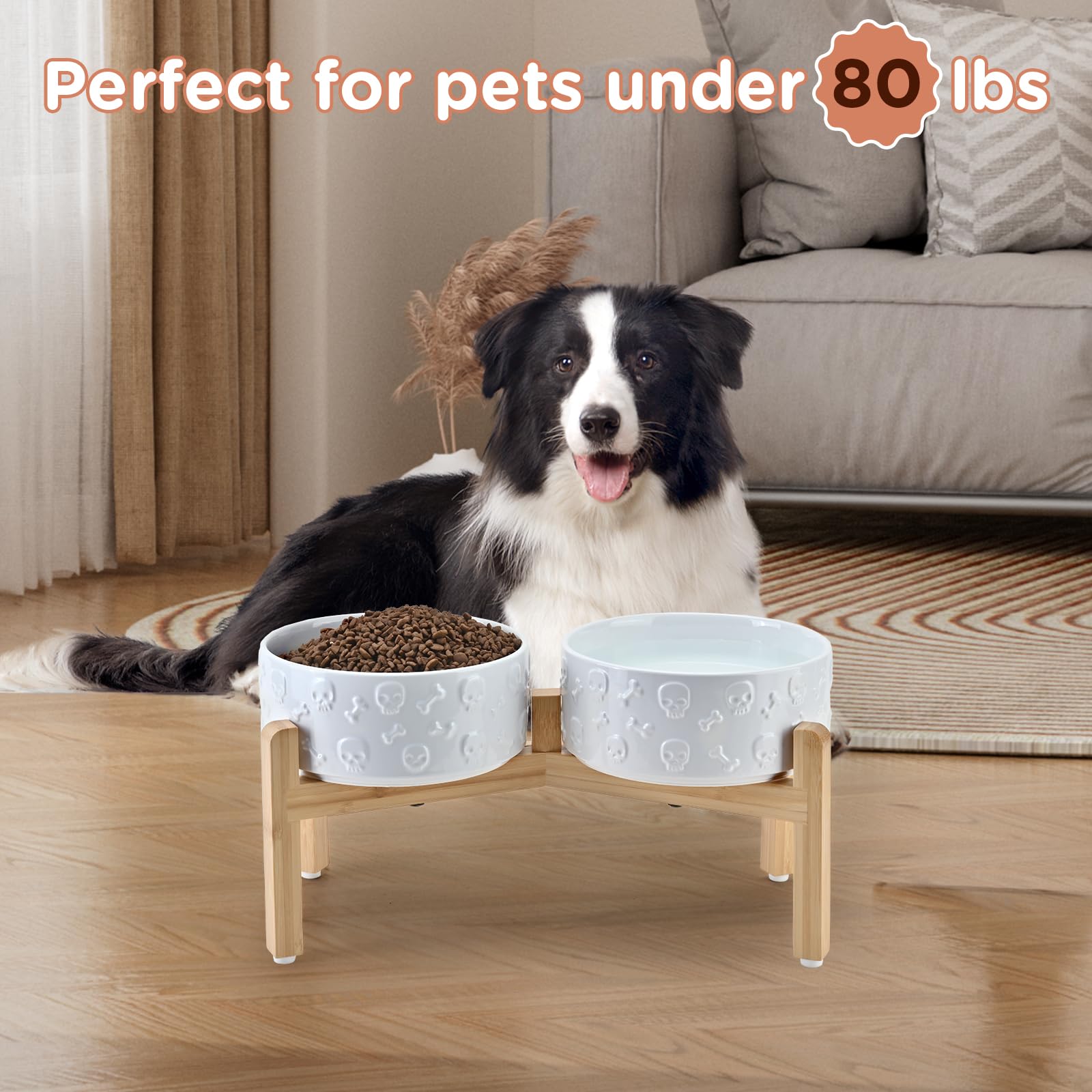 SPUNKYJUNKY modern design complements home decor while supporting comfortable dining posture