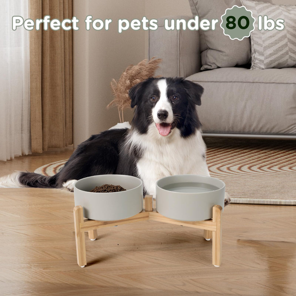 SPUNKYJUNKY 42 oz capacity handles kibble, wet food, and broth-based meals.