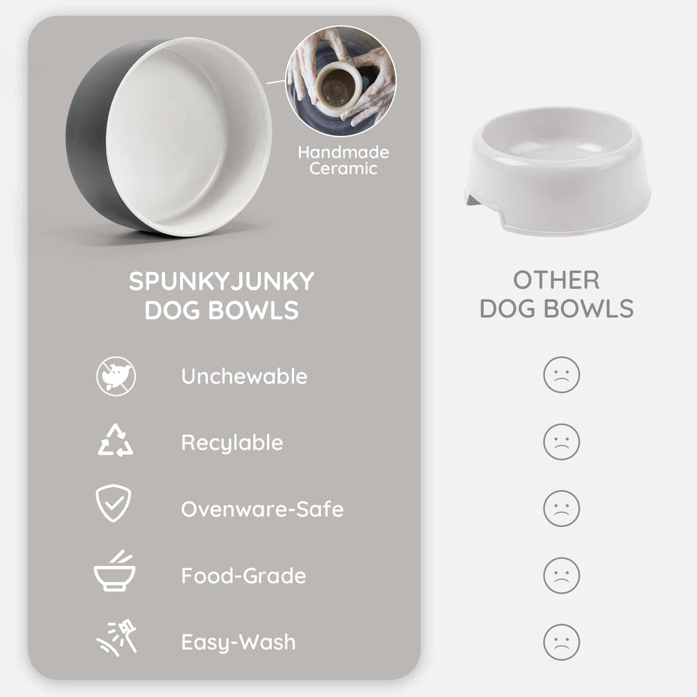 SPUNKYJUNKY modern design with elevated height supports comfortable eating for pets.