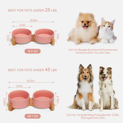 SPUNKYJUNKY pet mealtime with ergonomic height supports comfortable posture