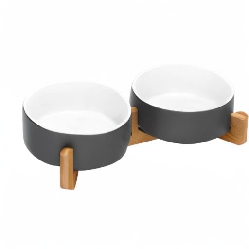 SPUNKYJUNKY pet mealtime scene shows a clean, organized two-bowl setup.