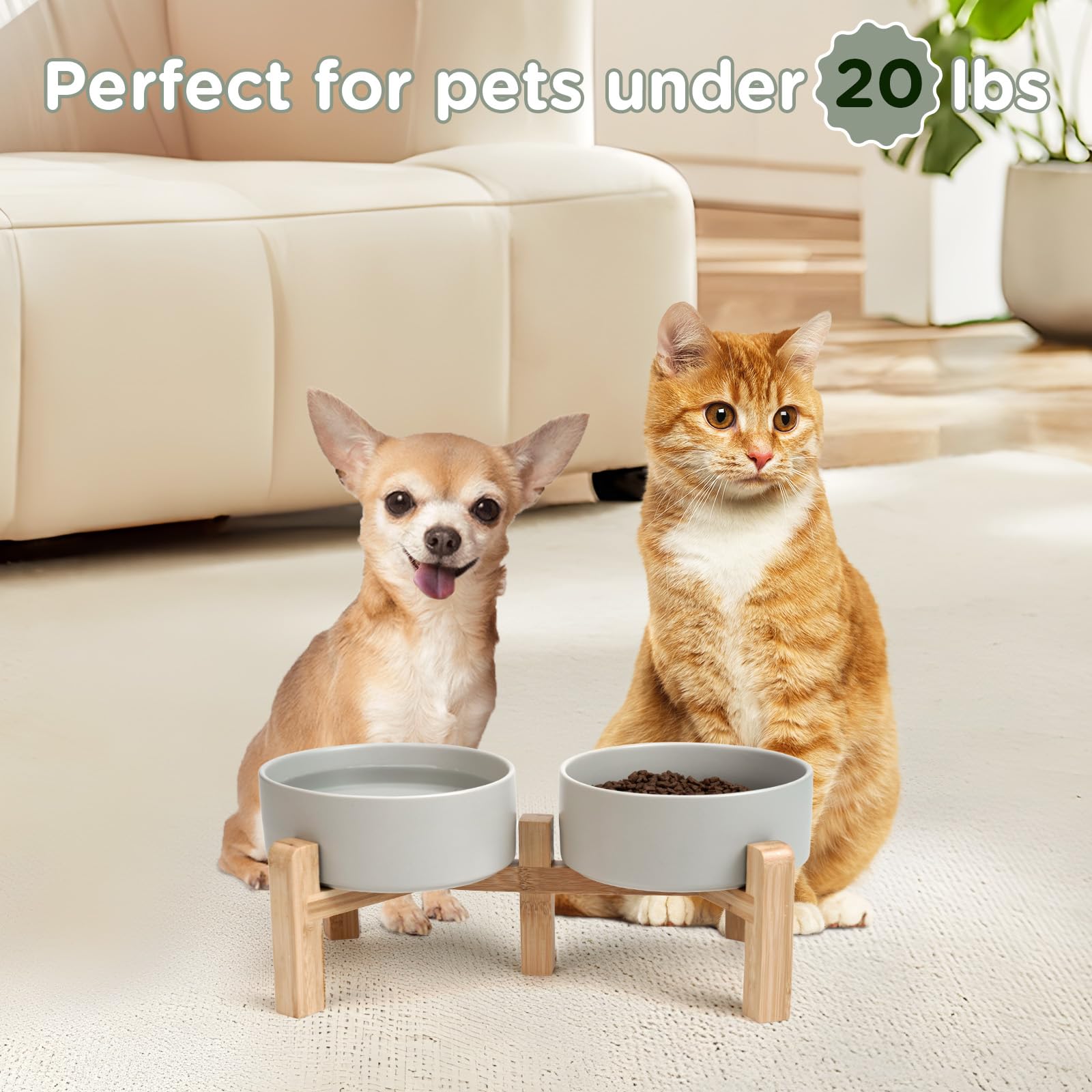 SPUNKYJUNKY four size options fit kittens through large breeds