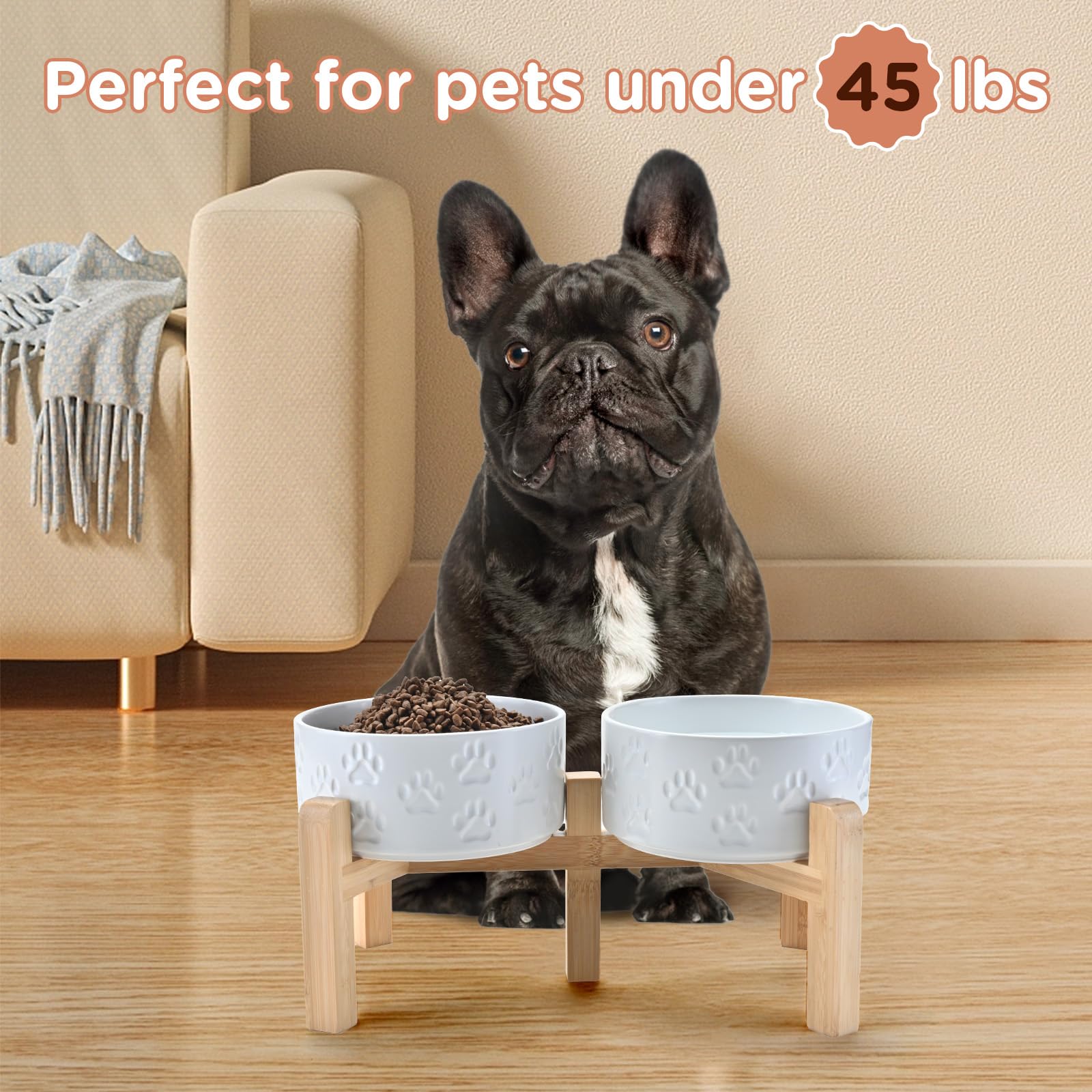SPUNKYJUNKY four size options to fit small to large pets.