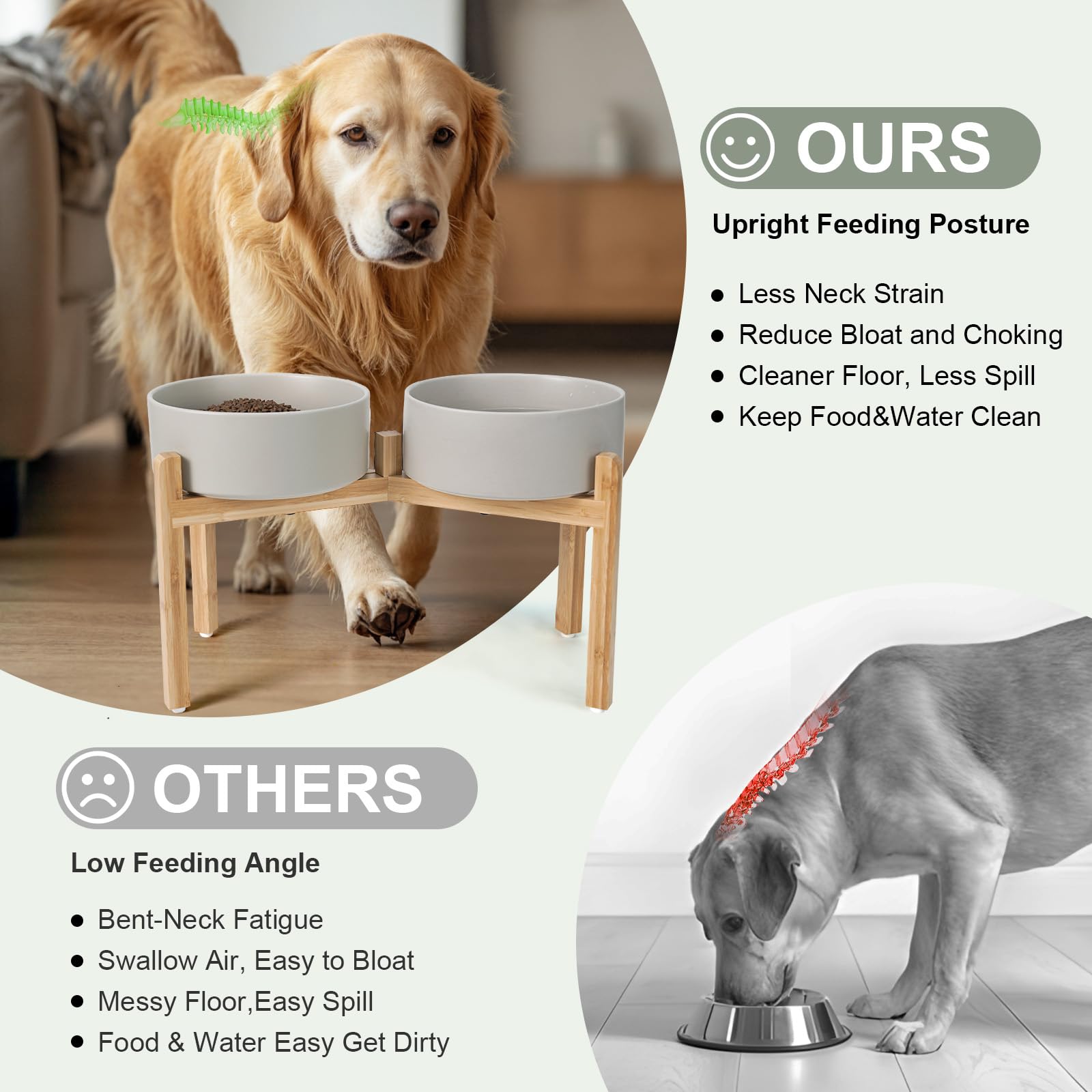 SPUNKYJUNKY bowls on a slip-proof base to prevent spills during feeding.