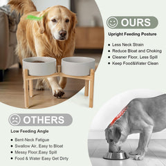 SPUNKYJUNKY bowls on a slip-proof base to prevent spills during feeding.