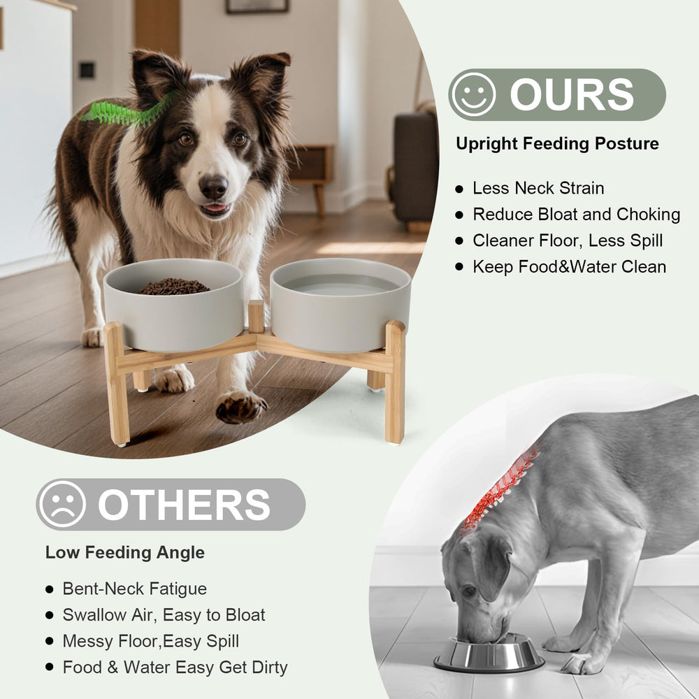 SPUNKYJUNKY stable non-slip design keeps bowls in place during lively mealtime.