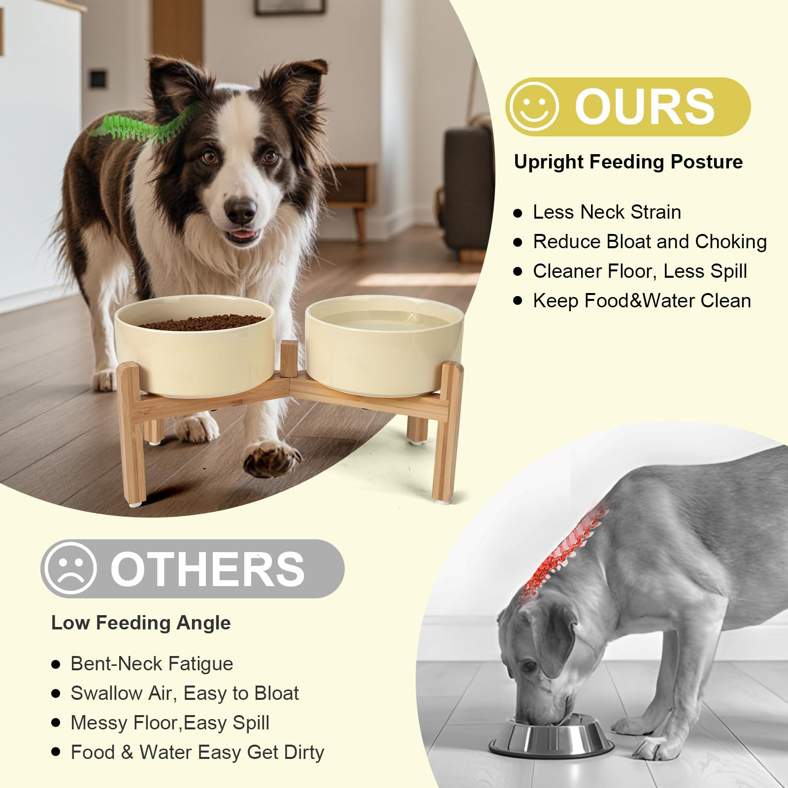 SPUNKYJUNKY stable, non-slip bowls reduce spills during mealtime