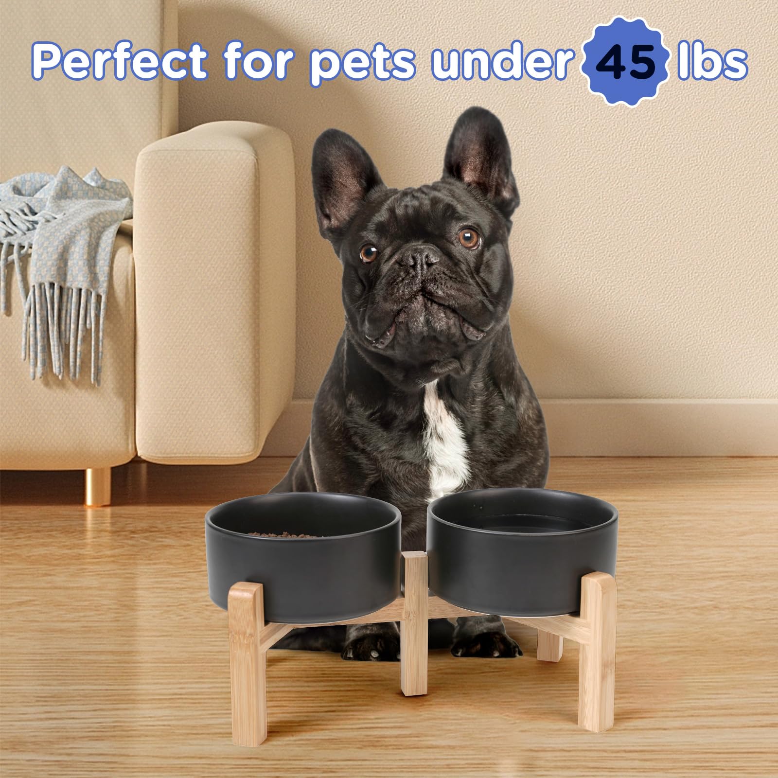 SPUNKYJUNKY two-height options suit small to medium breeds.