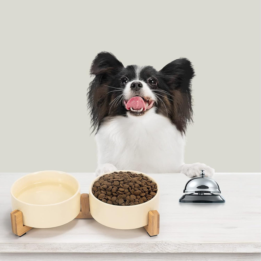 SpunkyJunky ideal for small dogs and cats during meals.