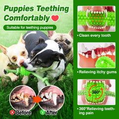 SQBG Tug of War toy boosts bonding and physical activity for puppies.