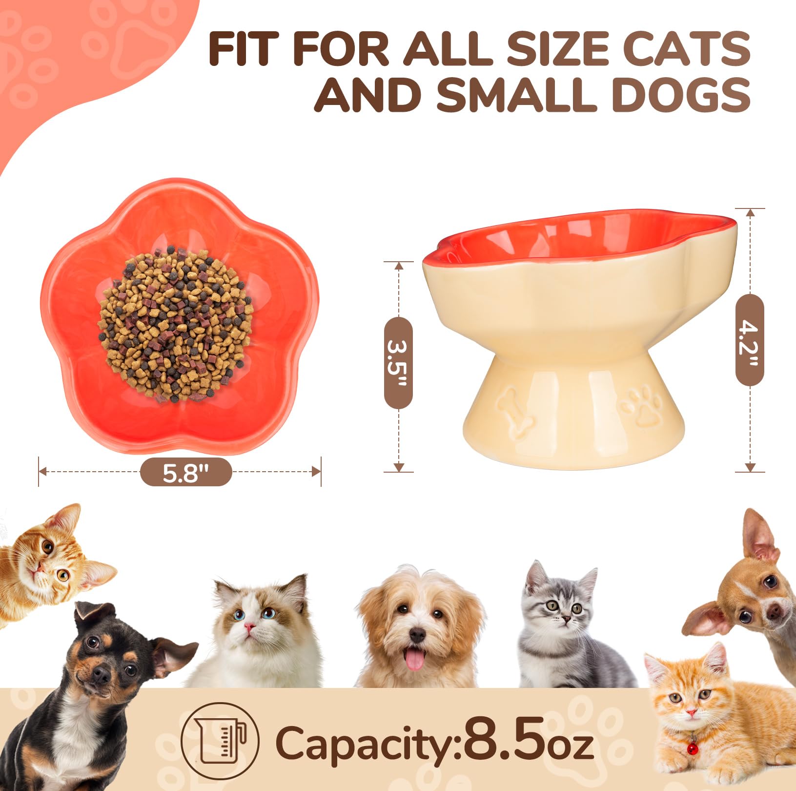 S&Q'S CERAMICS cat bowl with dual-color petal design adds stylish flair to mealtime.