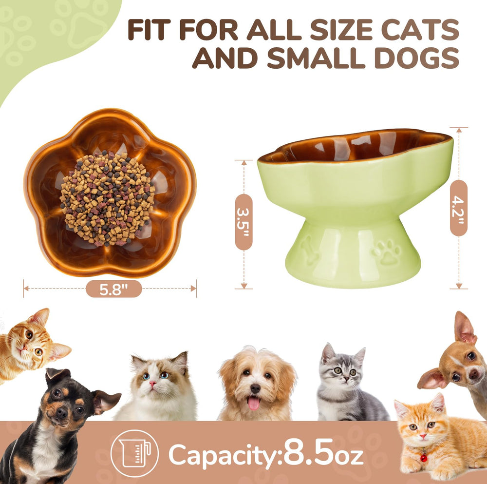S&Q'S CERAMICS raised cat bowl on elevated stand promotes better posture during meals.