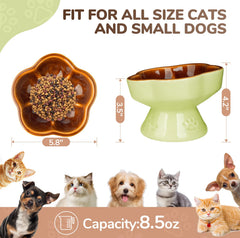 S&Q'S CERAMICS raised cat bowl on elevated stand promotes better posture during meals.