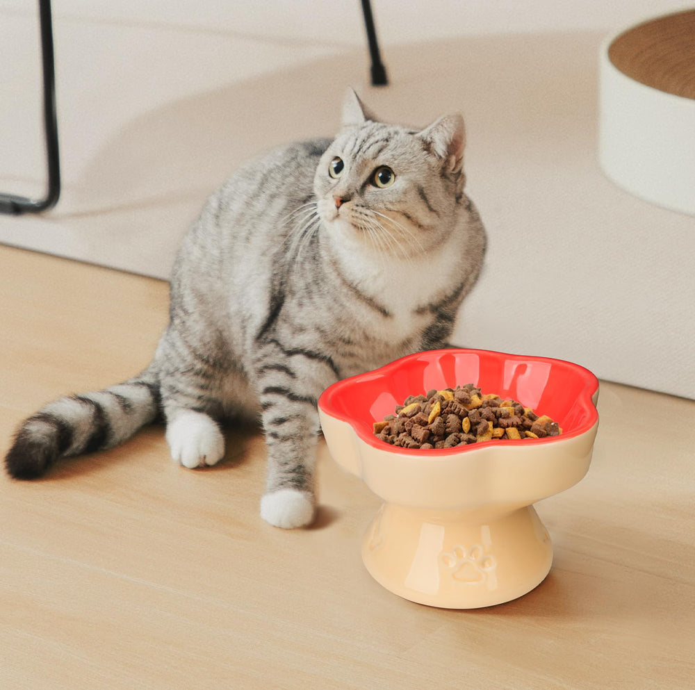 S&Q'S CERAMICS stable spill-free stand keeps bowls steady during mealtime.