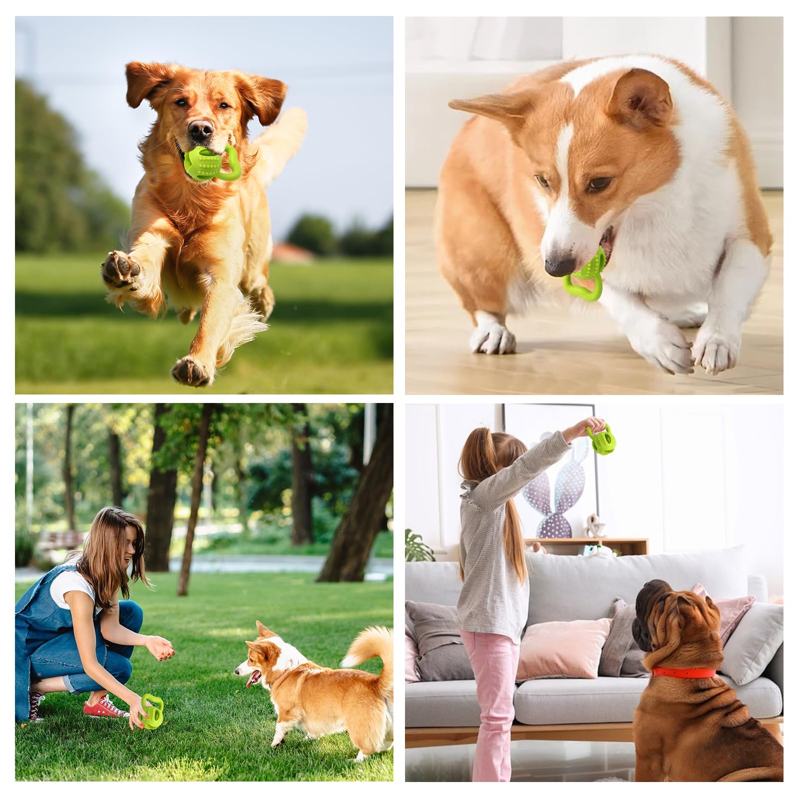 Square Puppy Chew Toy bite-brush feature highlights dental play