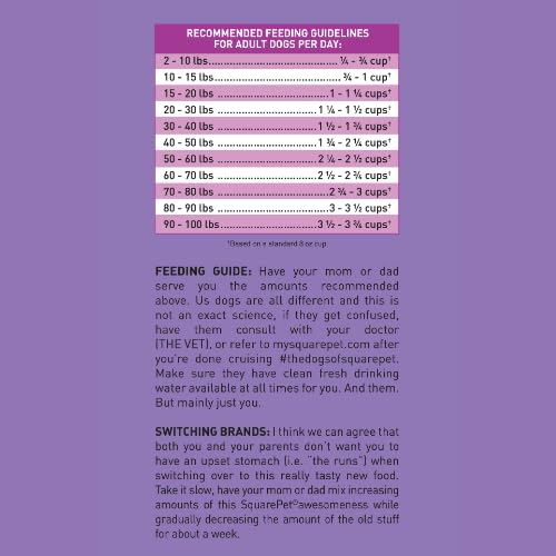 SquarePet VFS feeding guide pamphlet suggesting portion control for dog owners.