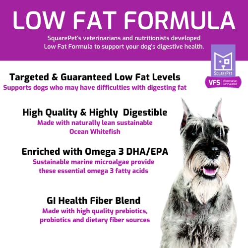 SquarePet VFS ingredients label features high-quality fish and fiber for gut support.