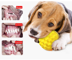 Squeaky Dog Ball Toy rough-textured spikes aid teeth cleaning during chewing.