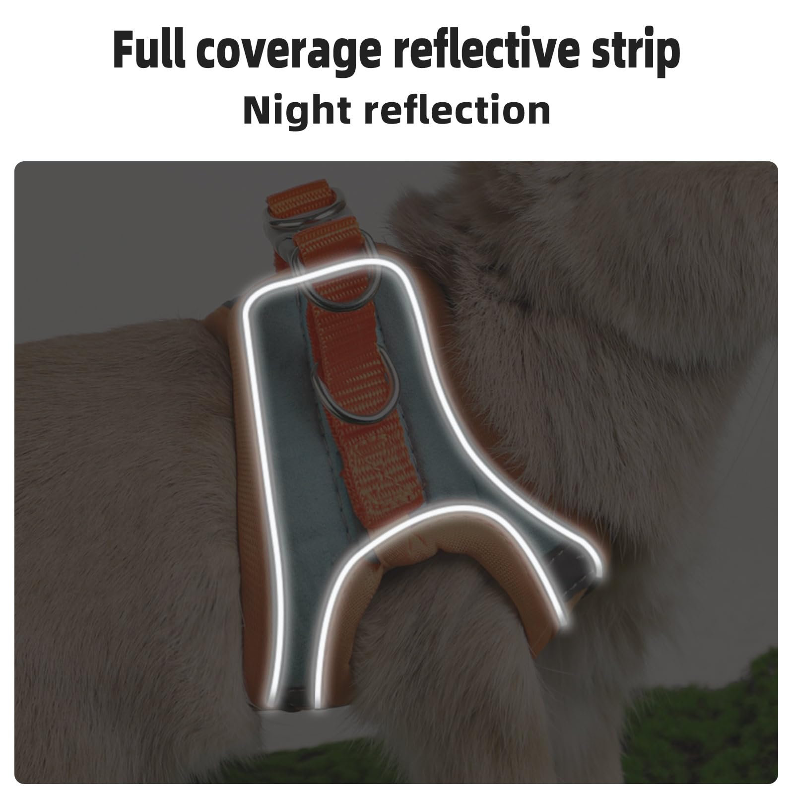 SQUSIMEI reflective-strip design boosts night visibility for safer outdoor sessions.