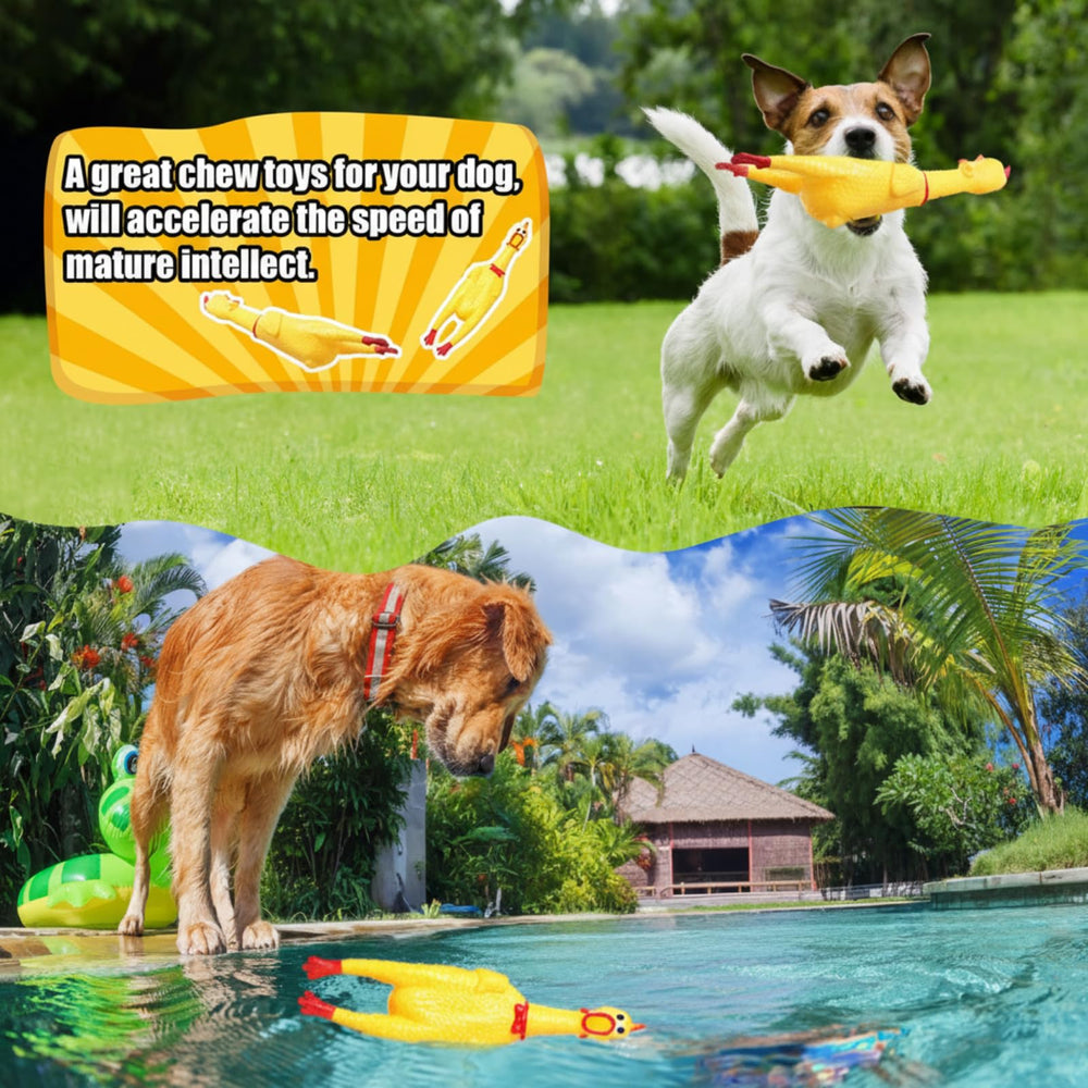 Sratte dog-training chew toy that attracts pets with squeaks