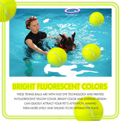 Sratte giant dog ball for indoor outdoor training, strengthens bonds during games