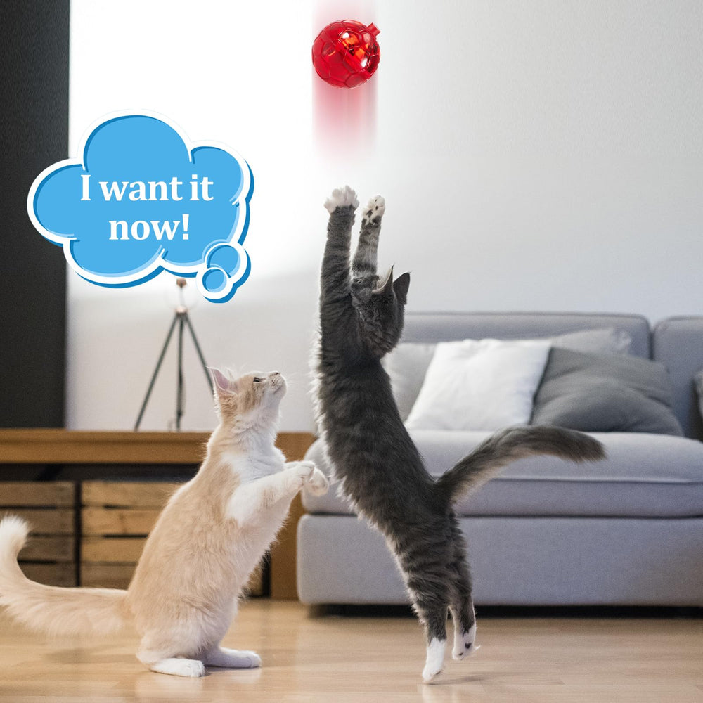 Sratte interactive pet toy ball, simple shake-to-activate light.