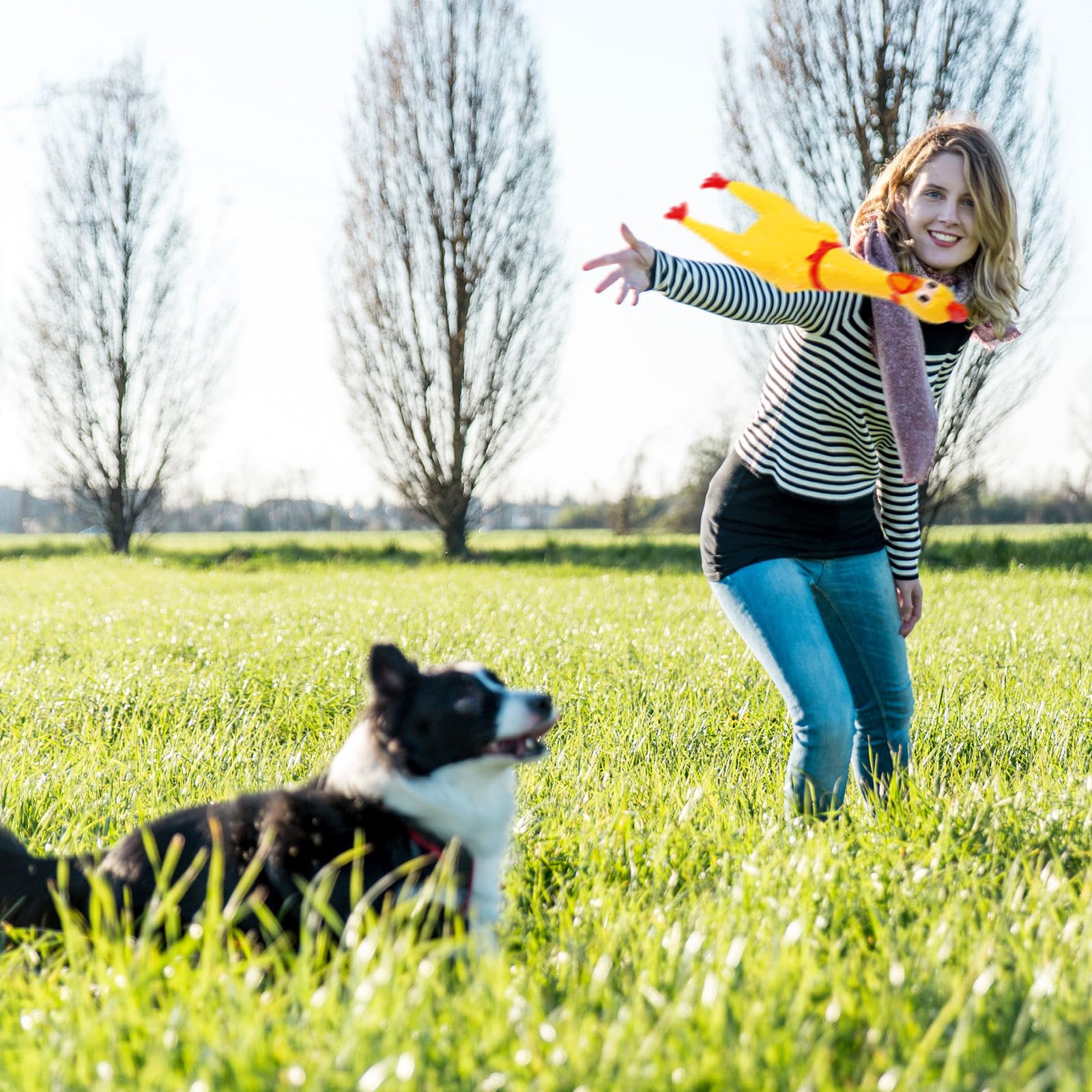 Sratte durable rubber chicken toy resists many squeezes.