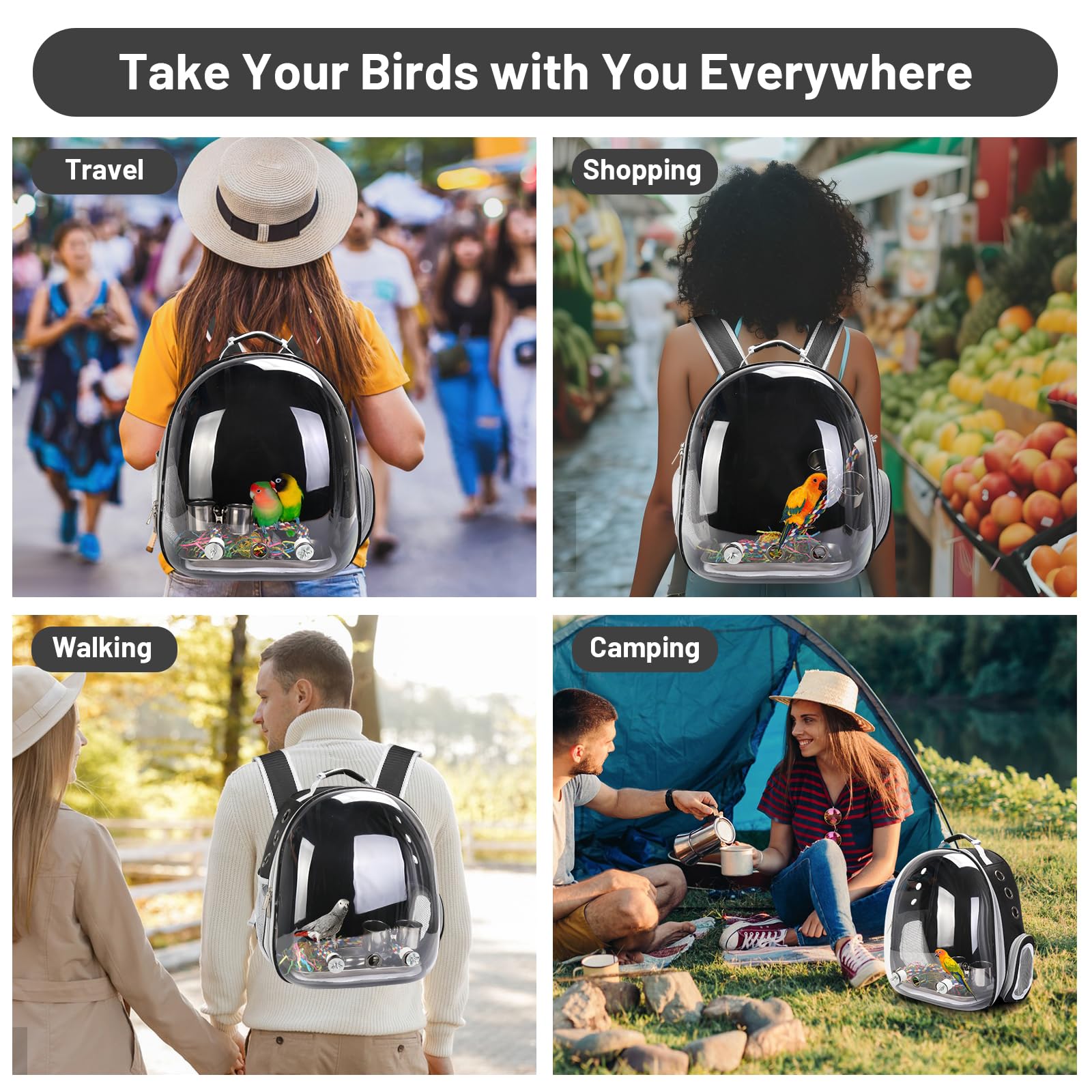 SSAWcasa complete package includes mat, perch, cups and more