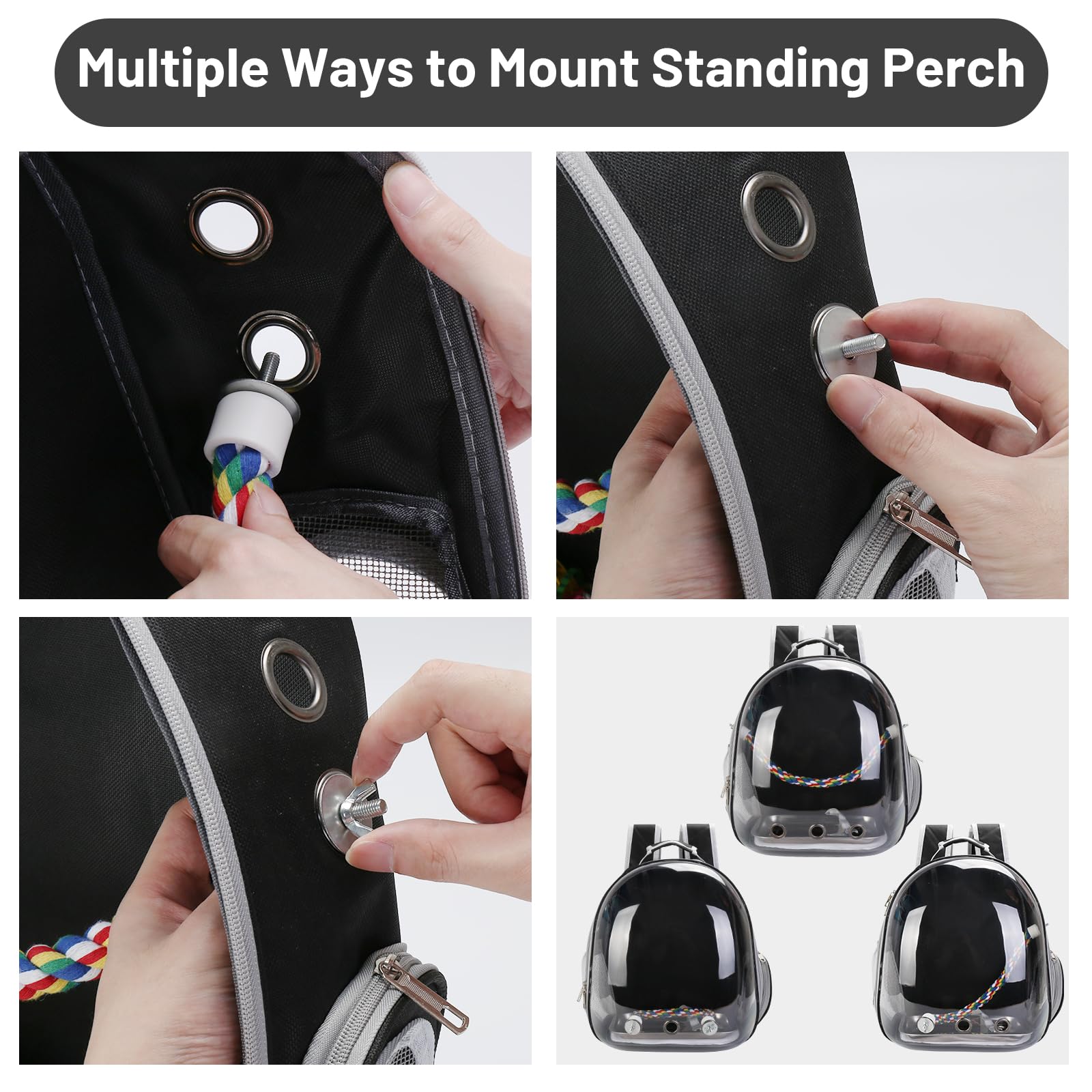 SSAWcasa stainless steel tray ensures hygienic feeding and simple maintenance
