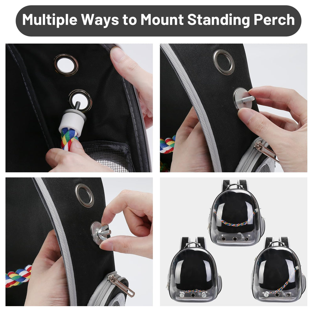 SSAWcasa stainless steel tray ensures hygienic feeding and simple maintenance