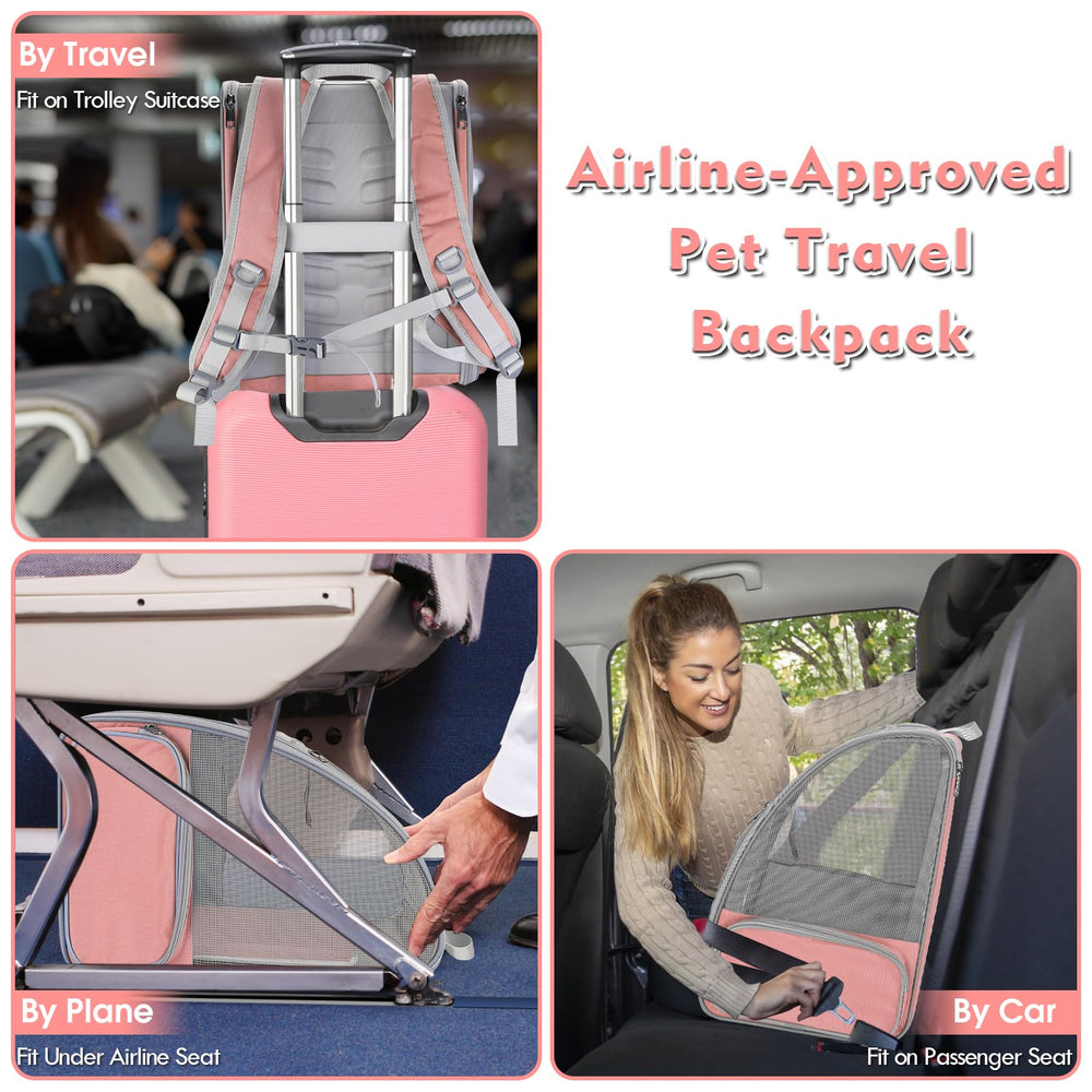 SSAWcasa cat backpack carrier pink feather toy showcases interactive play on the go