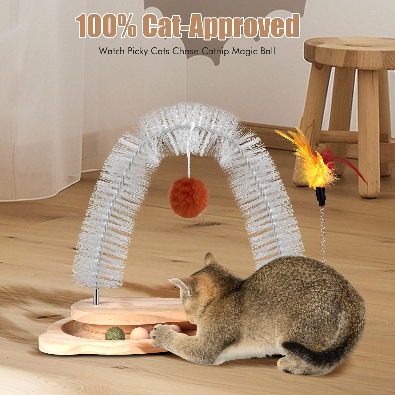 SSAWcasa cat self-groomer kitten playtime with track and toys.