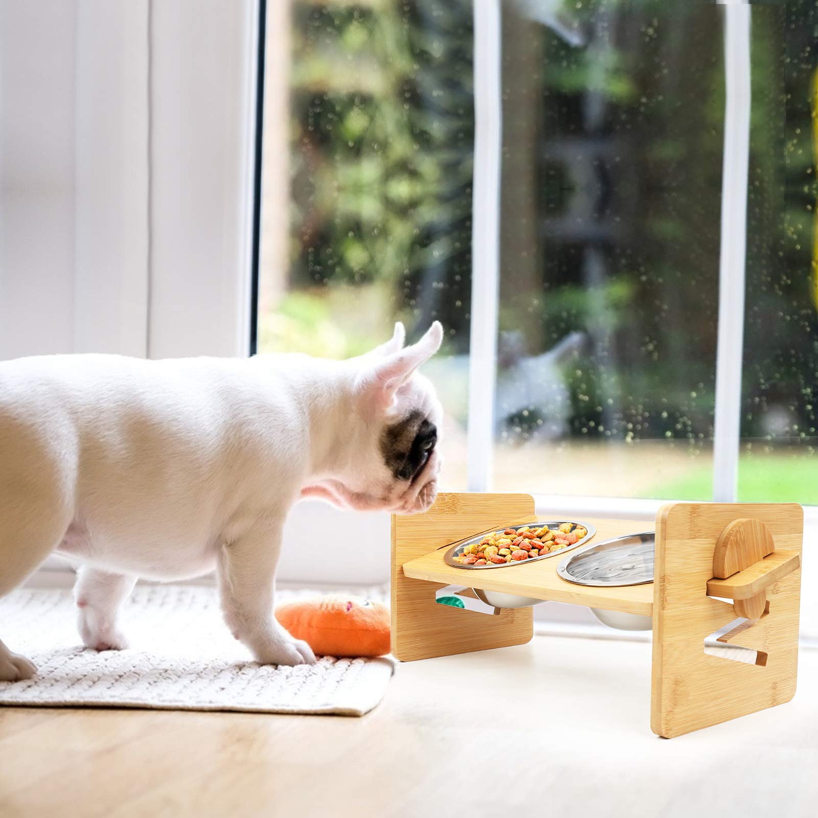 SSAWcasa 15-degree tilt promotes ergonomic feeding for small and medium dogs.
