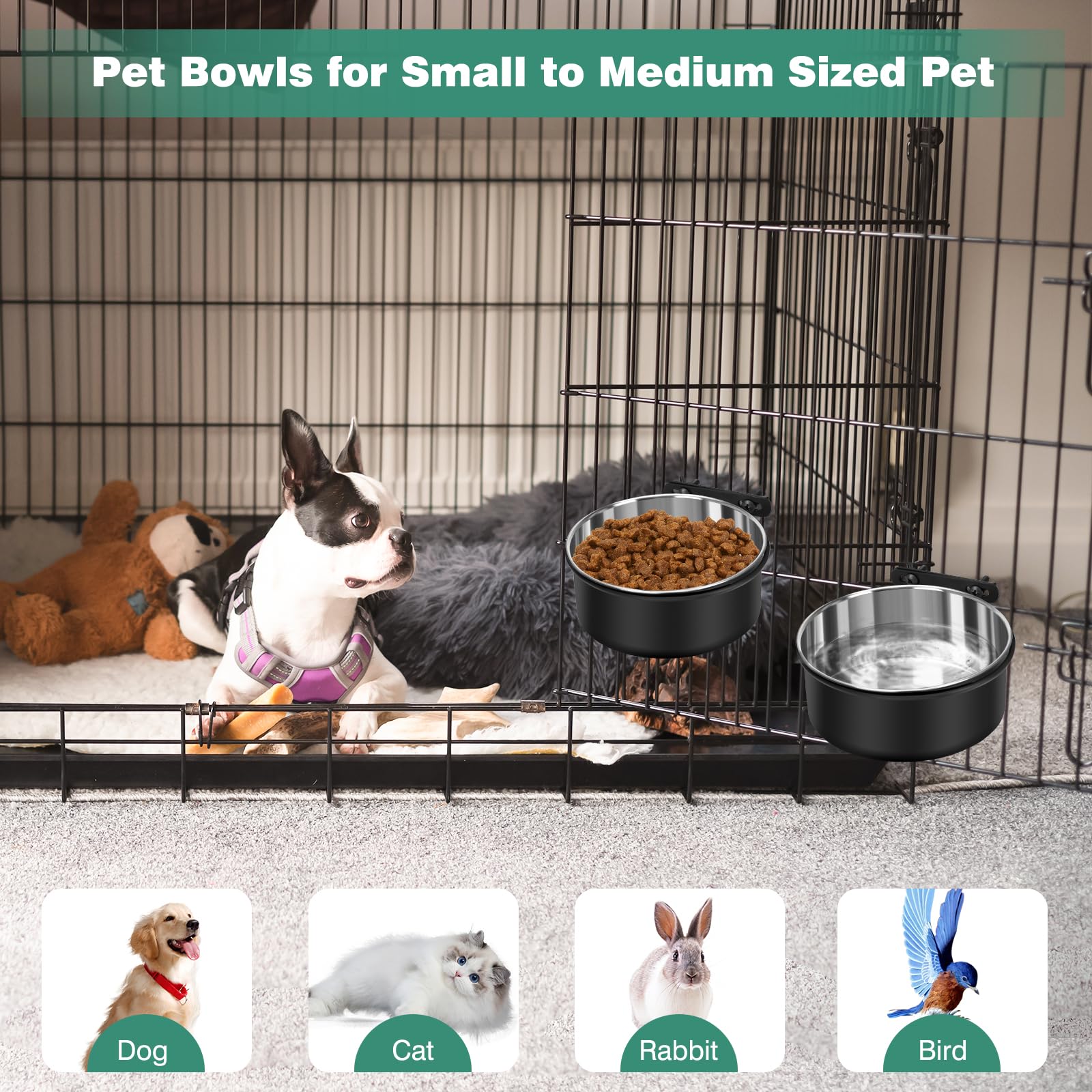 SSAWcasa wide-diameter food bowl enables comfortable meals without crowding