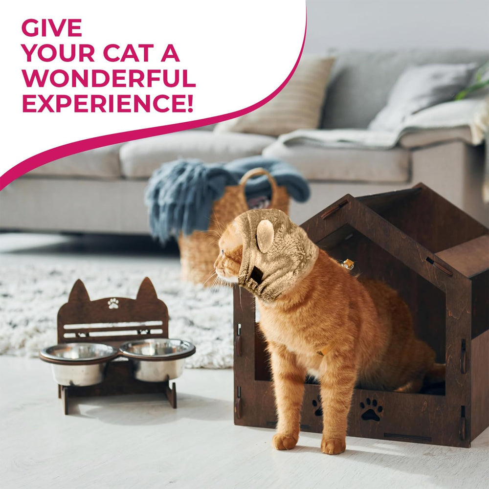 SSaYo travel scene shows comfort during car rides and vet visits.