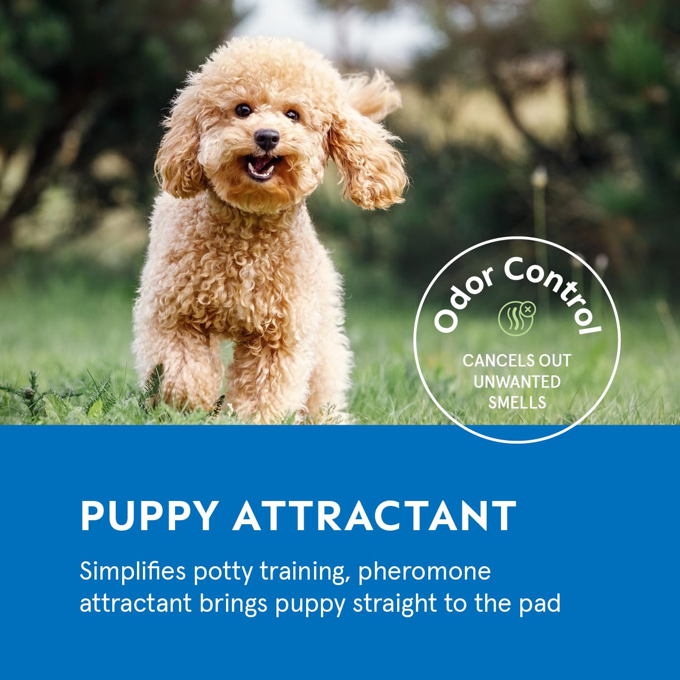 Stack Man attractant guides puppies to the pad for training