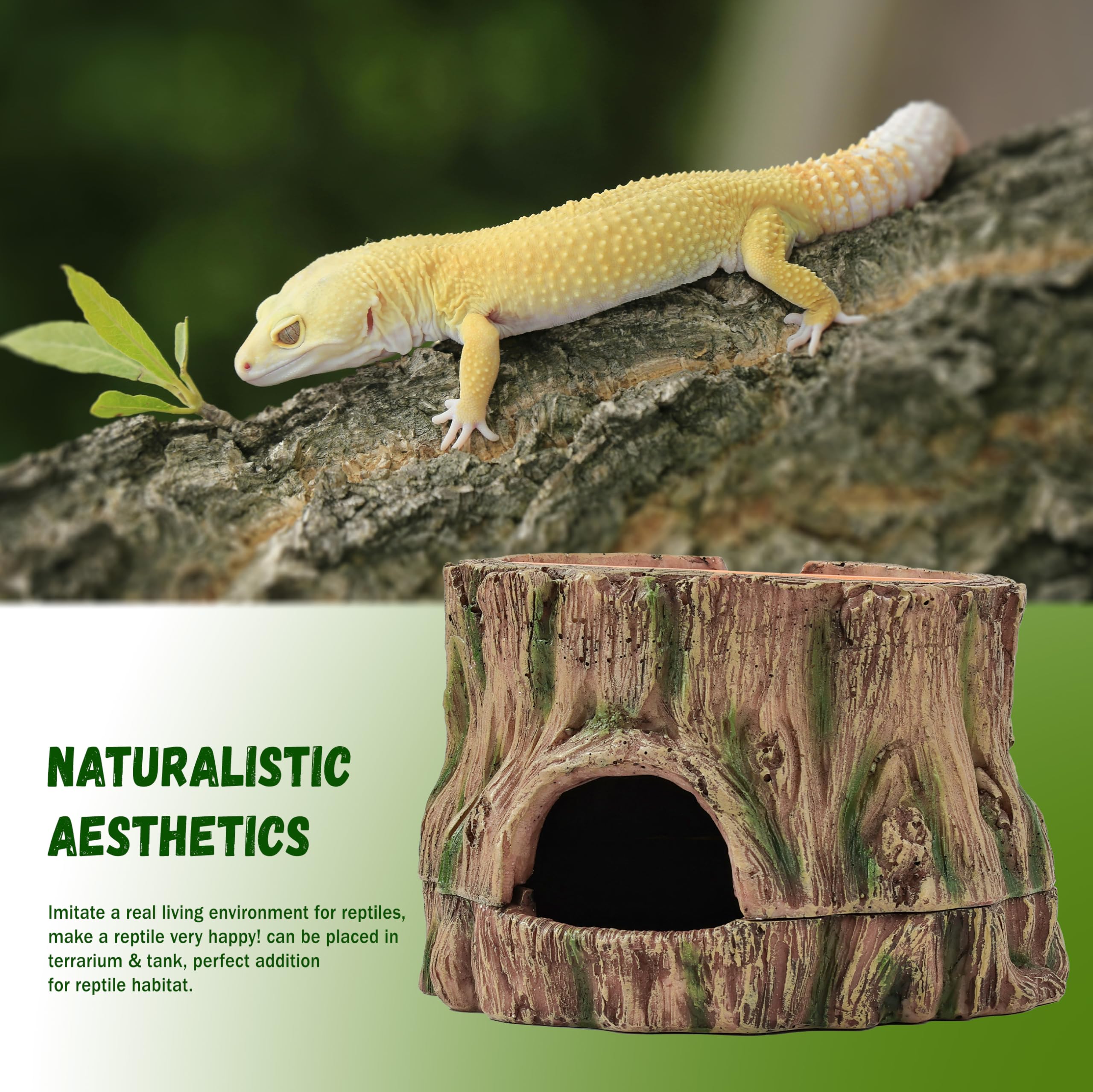 Stackoria safe resin material supports durable, non-toxic habitat for small pets.