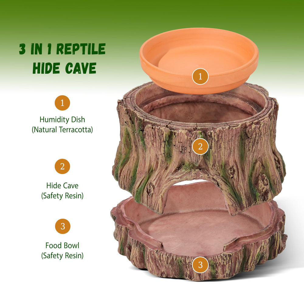 Stackoria tree-root reptile hide cave enhances natural aesthetics in terrarium.