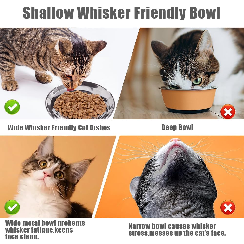 Stainless-Steel Cat Bowls shallow-design emphasizes whisker-friendly meals for comfort.