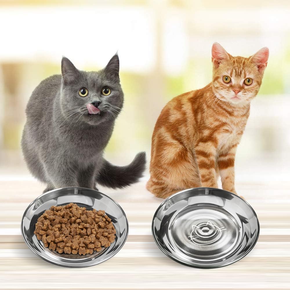 Stainless-Steel Cat Bowls whisker-fatigue highlights whisker-friendly design for gentle meals.