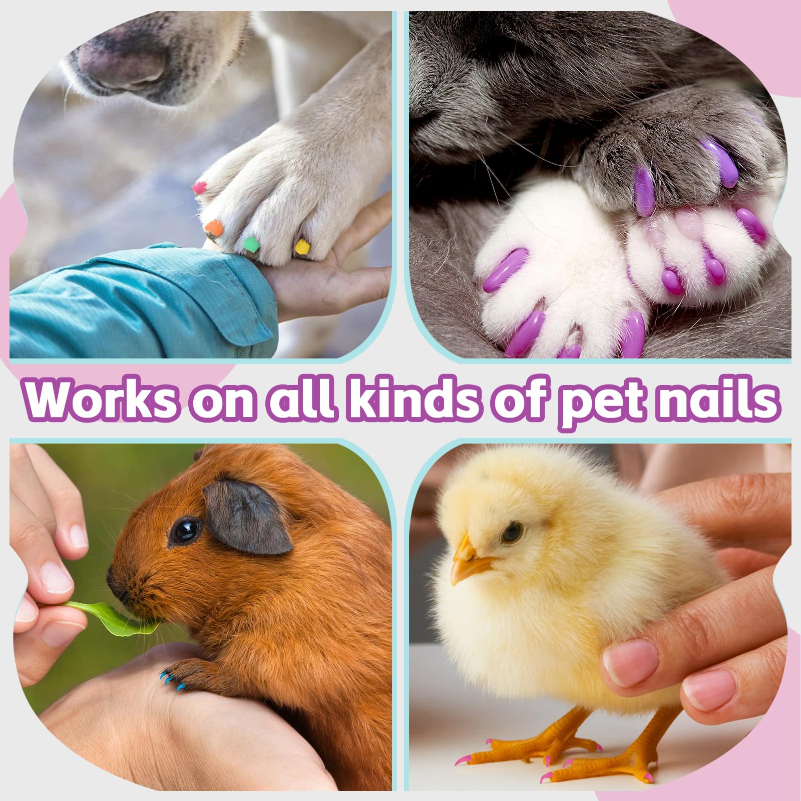 STANBLUE paw-safe polish ready for quick touch-ups between adventures.