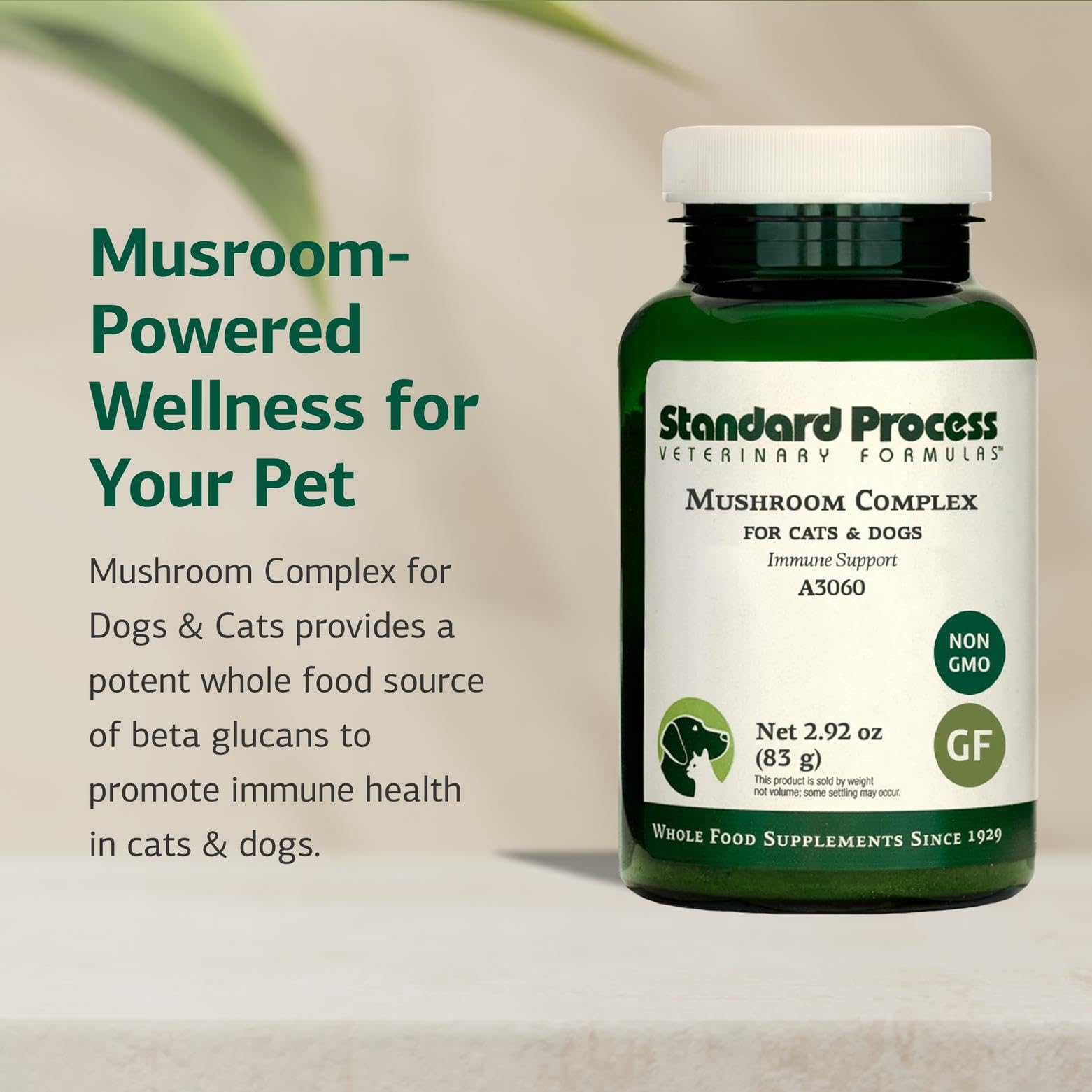 Standard Process bovine colostrum for pets supports immune balance and gut comfort.