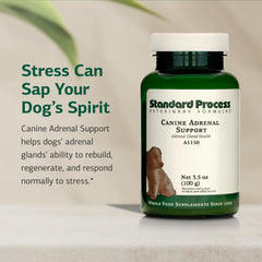Standard Process Canine Adrenal Support bottle front ready for add-to-meal use.