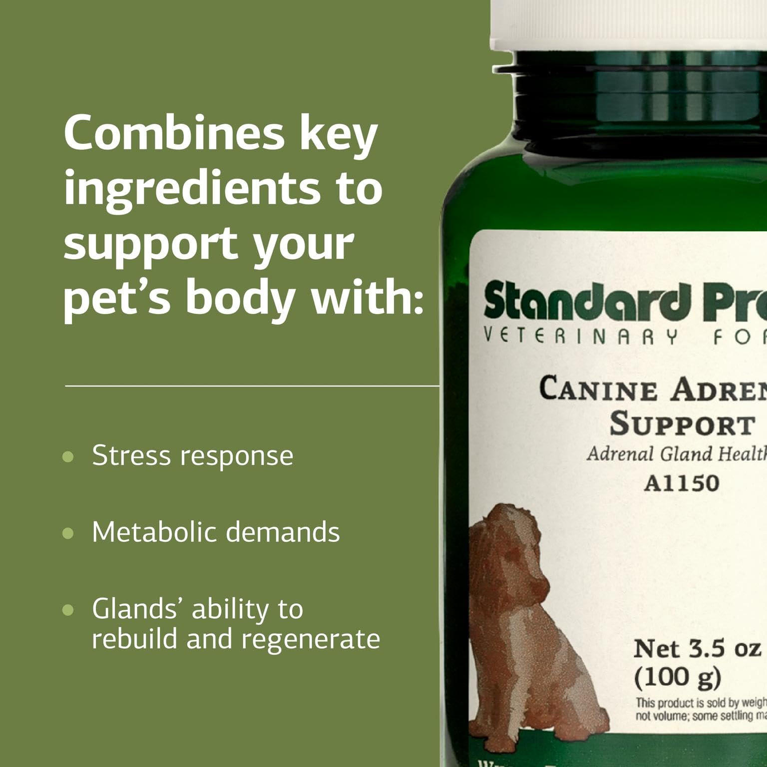 Standard Process Canine Adrenal Support measuring scoop ensures precise dog dosage.