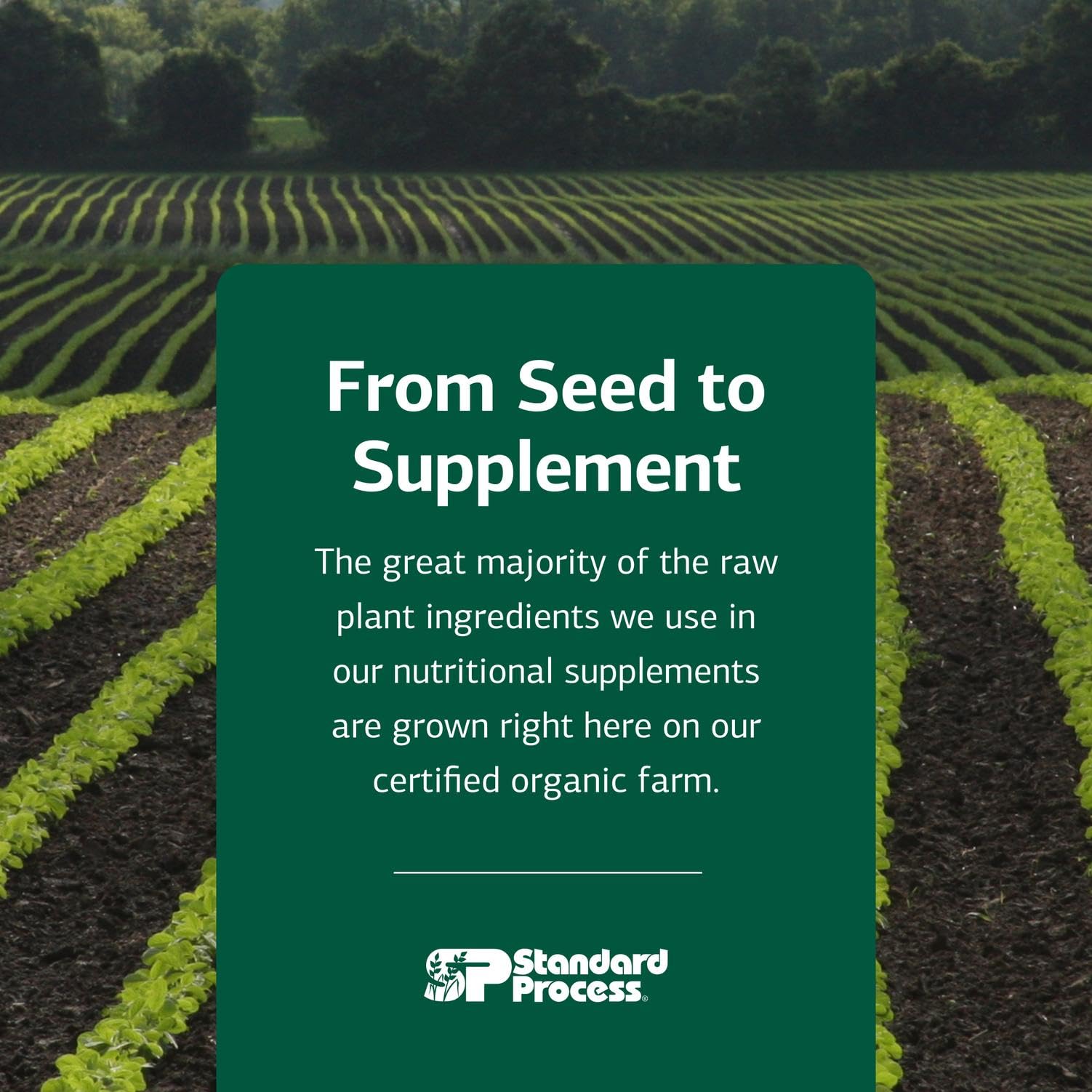 Standard Process Canine Cardiac Support 25g container conveys portable heart health nutrition for dogs.